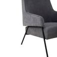 Henia Armchair - Ash Velvet Fabric