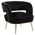 Larissa Accent Chair - Black Velvet Fabric with Gold Metal Legs