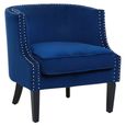 Larissa Accent Chair - Blue Velvet Fabric with Studded Detail