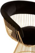 Vogue Curved Chair - Gold and Black Velvet Fabric