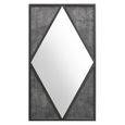 Renzo Zinc & Dark Grey Wall Mirror - Rectangular