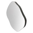 Organic Wall Mirror - Black Metal - Abstract - 97cm x 101cm