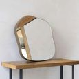 Organic Wall Mirror - Champagne Metal - Abstract - 77cm x 81cm