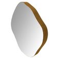 Organic Wall Mirror - Champagne Metal - Abstract - 97cm x 100.5cm