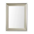 Tokyo Wall Mirror - Rectangular - Small - Pewter - 65cm x 85cm