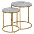 Alisma Nest of Tables - Set of 2 - Round - White Marble and Gold Metal