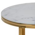 Alisma Nest of Tables - Set of 2 - Round - White Marble and Gold Metal