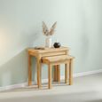 New Trinity Nest of Tables - Set of 2 - Natural Oak