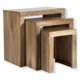 Clearance - Cuban Nest of 3 Tables - Natural Mango Wood - A459