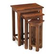 Indian Sheesham Chunky Nest of 3 Tables