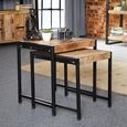 Cosmo Nest of Tables - Set of 2 - Industrial Style - Wooden and Metal