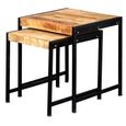 Cosmo Nest of Tables - Set of 2 - Industrial Style - Wooden and Metal