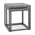 Renzo Zinc & Dark Grey Nest of Lamp Tables - Set of 2