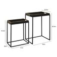 Nest of Tables - Black and Gold Glass - Set of 2 - Tray