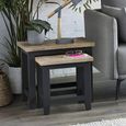 Bordeaux Nest of Tables - Set of 2 - Grey