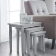 Cleo Nest of Tables - Set of 3 - Grey