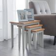 Cleo Nest of Tables - Set of 3 - Grey and Oak