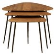 Elmo Nest of 3 Tables - Triangular - Large - Elm Wood and Metal