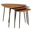 Elmo Nest of 3 Tables - Triangular - Large - Elm Wood and Metal