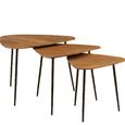 Elmo Nest of 3 Tables - Triangular - Large - Elm Wood and Metal