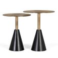 Holly Nest of Tables - Bronze and Black - Round - Set of 2