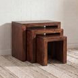 Dakota Nest of Tables - Set of 3 - Dark Mango Wood