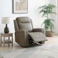Henley Electric Recliner Armchair - Taupe Leather