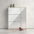 Shoe Cabinet - 1 Door - 3 Drawer - Oak