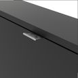Shoe Cabinet - 2 Drawer - Black
