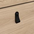 Barcelona Shoe Cabinet - 2 Door - Jackson Hickory Oak