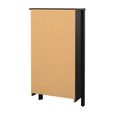 Madrid Shoe Cabinet - 2 Drawer - Door - Black