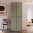 Alice Springs Shoe Cabinet - 4 Door - Artisan Oak and Sage Green