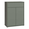 Alice Springs Shoe Cabinet - 2 Door - 1 Drawer - Compact - Sage Green