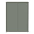 Alice Springs Shoe Cabinet - 2 Door - Sage Green