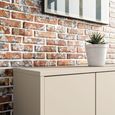 Alice Springs Shoe Cabinet - 2 Door - Sand