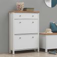 Arthur White 3 Door Shoe Cabinet
