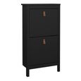 Barcelona Matt Black 2 Door Shoe Cabinet