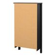 Barcelona Matt Black 2 Door Shoe Cabinet