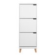 Mitra Shoe Cabinet - Flip Down - 3 Door - White and Oak