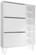 Montour White 3 Drawer Shoe Cabinet