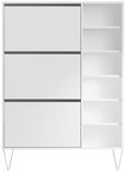 Montour White 3 Drawer Shoe Cabinet