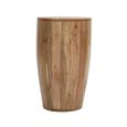 Surrey Side Table - Drum - Solid Mango Wood