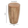 Surrey Side Table - Drum - Solid Mango Wood