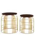 Agra Side Tables - Set of 2 - Mango Wood and Brass - Round