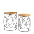 Agra Side Tables - Set of 2 - Mango Wood and Metal - Round