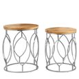 Agra Side Tables - Set of 2 - Mango Wood and Metal - Round
