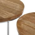 Agra Side Tables - Set of 2 - Mango Wood and Silver - Round