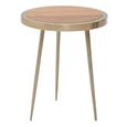 Almora Side Table - Small Round - Acacia Wood and Metal