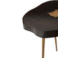 Asamra Side Table - Log - Black Acacia Wood with Gold Legs
