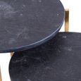 Black Marble and Gold Side Tables (Set of 2)